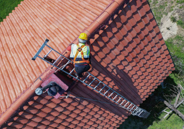 Best Roof Insulation Installation  in Brookside, AL